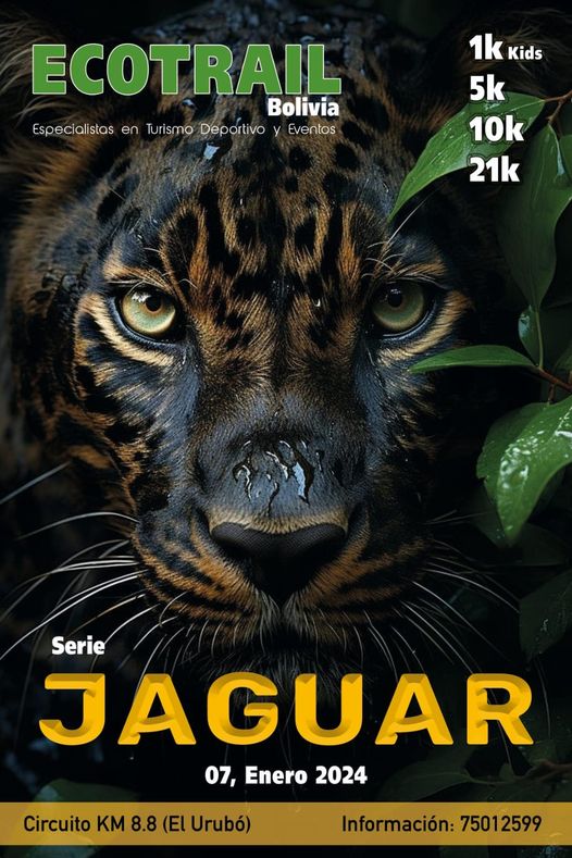 EcoTrail Bolivia Serie Jaguar