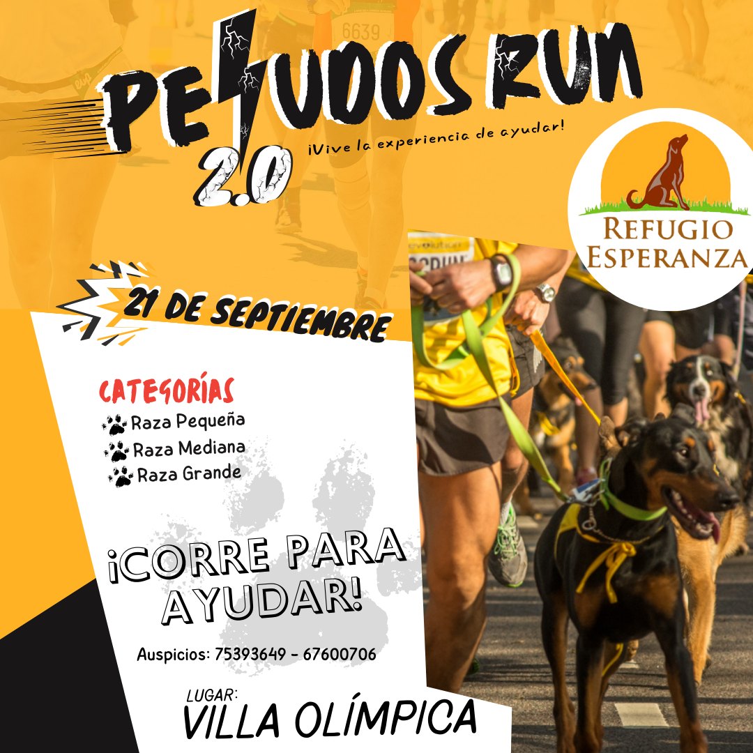 Peludos Run